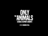 Only the Animals – Storie di spiriti amanti, il trailer