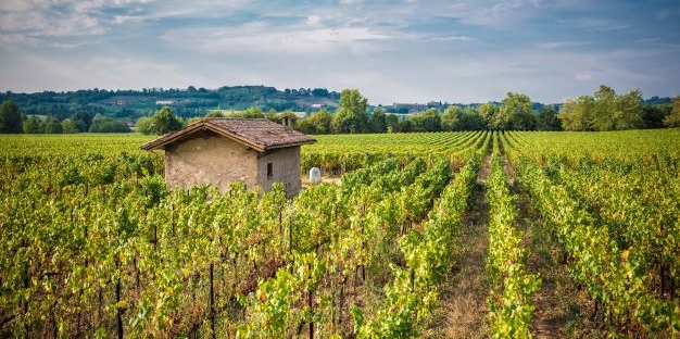 Franciacorta: le Bollicine italiane