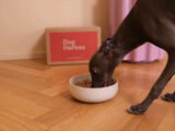 Con il digitale cresce anche il mercato del pet food