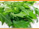 Sorsi di benessere – Un pesto gustoso, alleato della bellezza