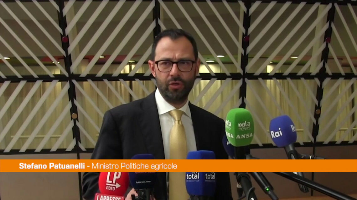 Ue, Patuanelli “Serve un recovery fund per l’energia” Ue, Patuanelli “Serve un recovery fund per l’energia”