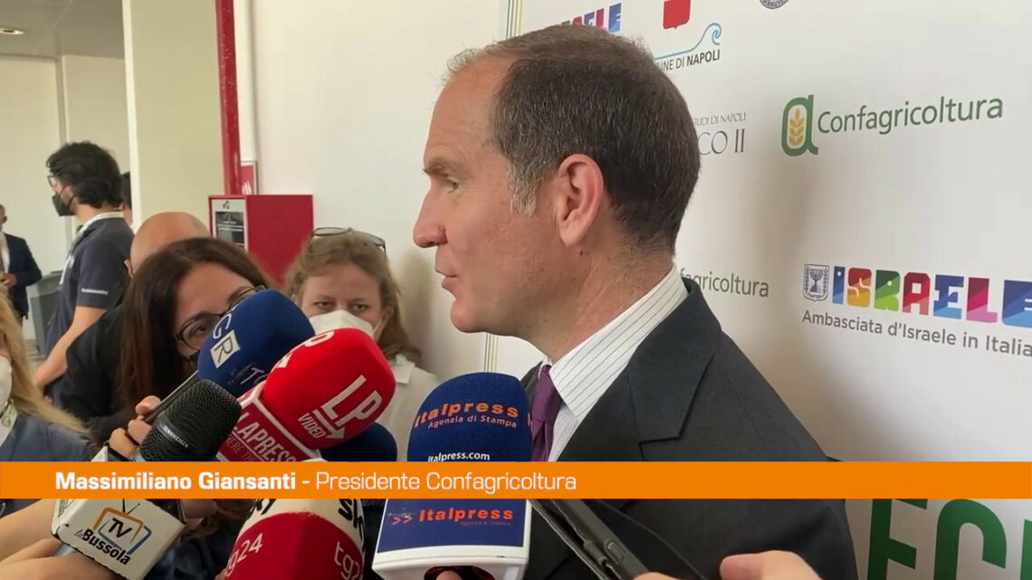 Agricoltura, Giansanti “Coniugare sostenibilità e povertà” Agricoltura, Giansanti “Coniugare sostenibilità e povertà”