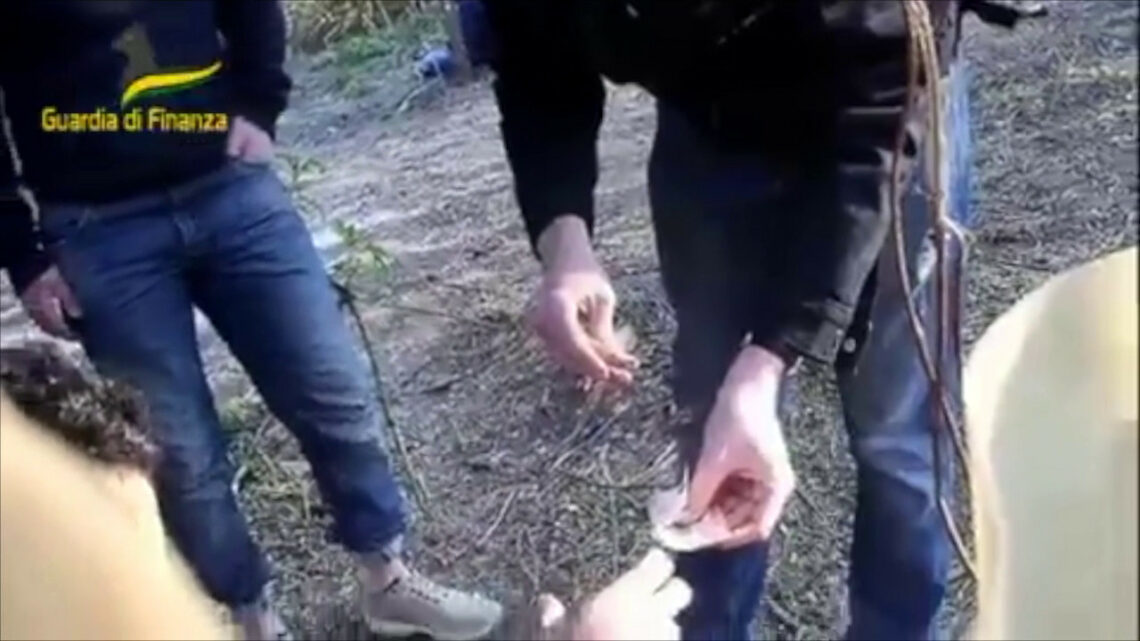 Spaccio droga a Rogoredo, sequestro a Lodi di 450 mila euro Spaccio droga a Rogoredo, sequestro a Lodi di 450 mila euro