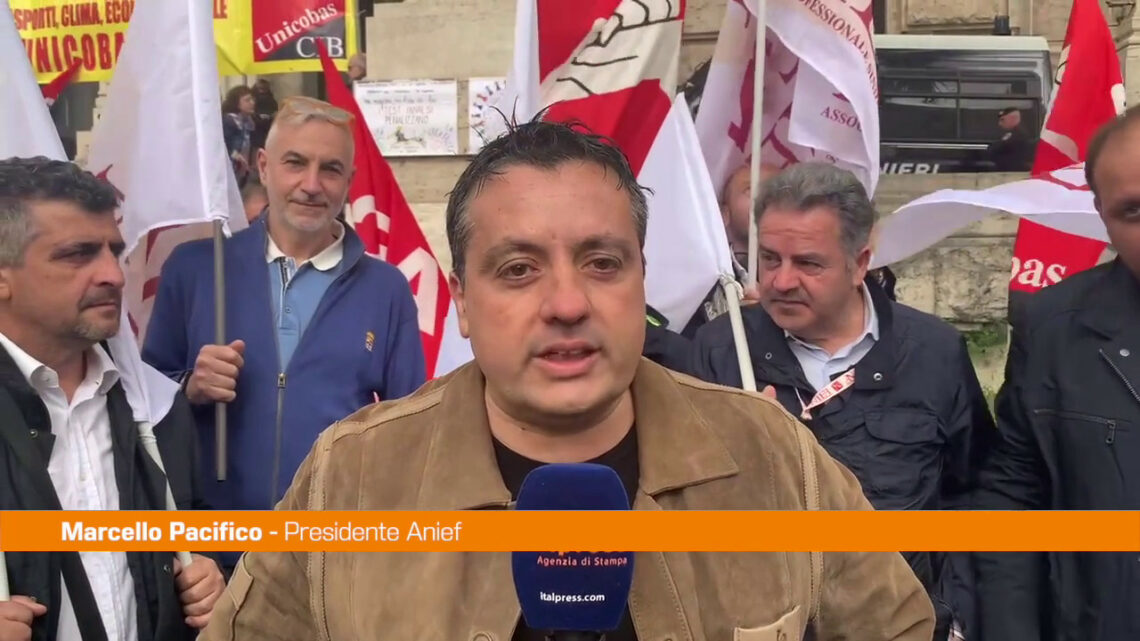 Scuola, Pacifico “Il Parlamento cambi la riforma” Scuola, Pacifico “Il Parlamento cambi la riforma”