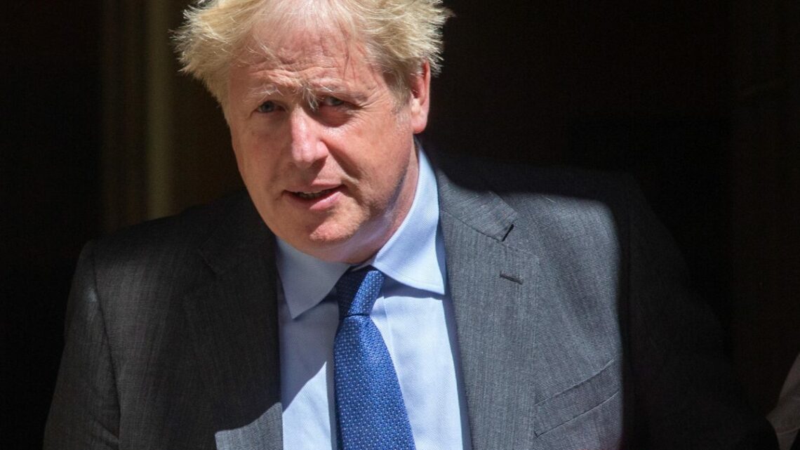 Ucraina, Johnson “C’è un rischio stanchezza, ma l’Occidente è unito” Ucraina, Johnson “C’è un rischio stanchezza, ma l’Occidente è unito”