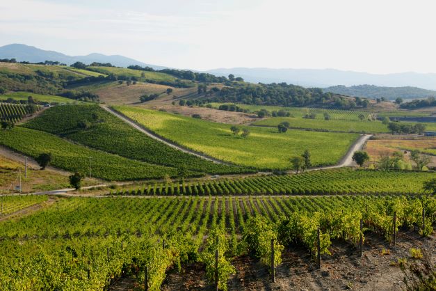 Maremma Toscana: un itinerario tra borghi, natura e cantine Maremma Toscana: un itinerario tra borghi, natura e cantine