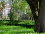 Orto botanico dell’Università di Parma, fondi del Pnrr per il restyling