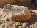 Pompei, emerge la tartaruga di 2000 anni fa