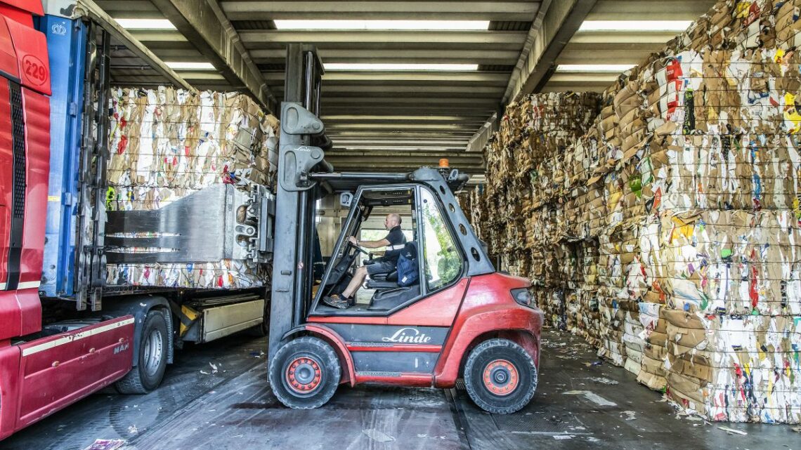 Raccolta e riciclo di carta e cartone, nel 2021 Italia da record Raccolta e riciclo di carta e cartone, nel 2021 Italia da record