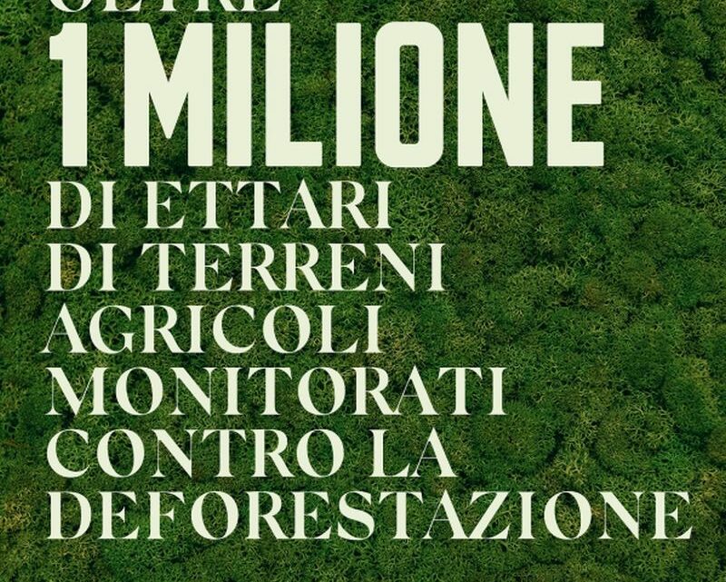 Ferrero, a grandi passi verso gli obiettivi di sostenibilità Ferrero, a grandi passi verso gli obiettivi di sostenibilità