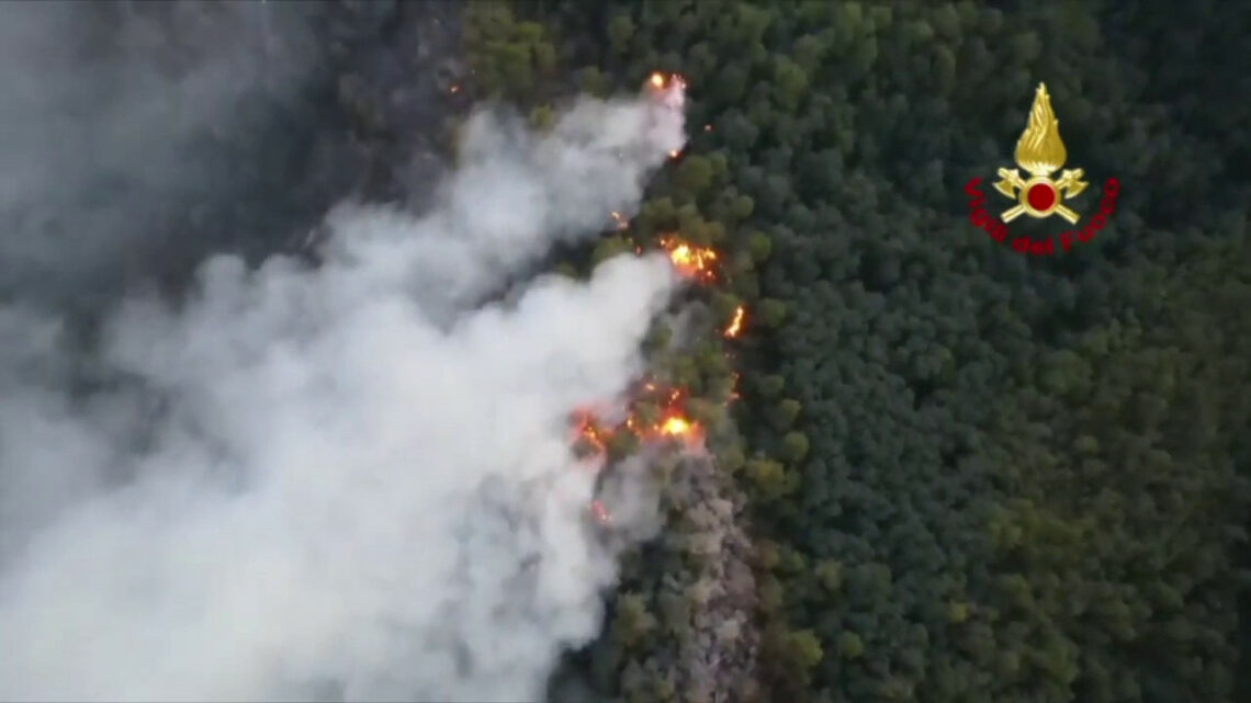 Incendio Massarosa: Bruciati 560 ettari, in arrivo altro Canadair Incendio Massarosa: Bruciati 560 ettari, in arrivo altro Canadair