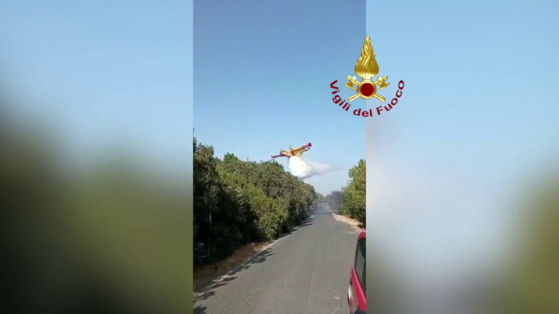 Incendio al Parco nazionale del Circeo, rogo spento Incendio al Parco nazionale del Circeo, rogo spento