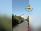 Incendio al Parco nazionale del Circeo,  rogo spento