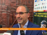 Puglia, dall’8 luglio i Mondiali di Orienteering sul Gargano