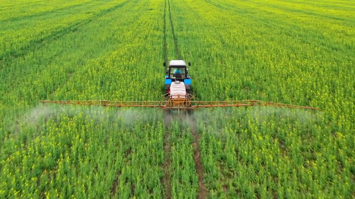 Bper Banca-Ismea, partnership per le imprese agricole e della pesca Bper Banca-Ismea, partnership per le imprese agricole e della pesca