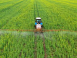 Bper Banca-Ismea, partnership per le imprese agricole e della pesca