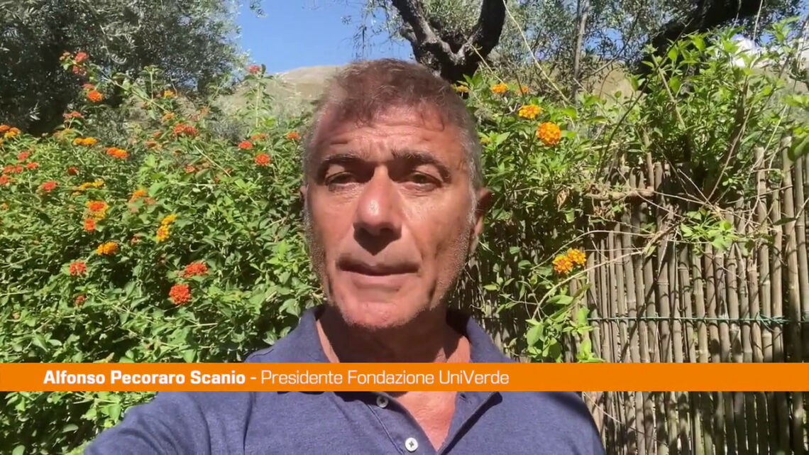 Pecoraro Scanio “Bene pentimento Berlusconi su alberi” Pecoraro Scanio “Bene pentimento Berlusconi su alberi”