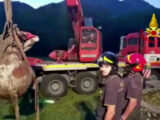 Volo di 15 metri per una mucca dentro un pozzo, salvata