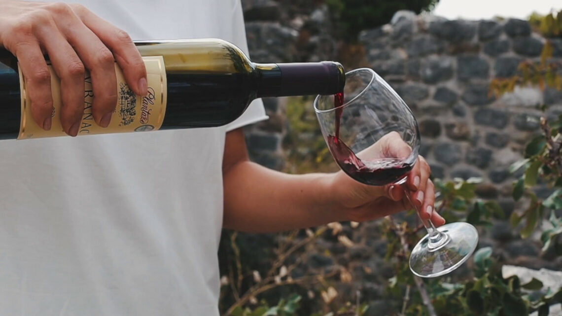 Un master per formare ambasciatori del vino italiano Un master per formare ambasciatori del vino italiano
