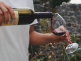 Un master per formare ambasciatori del vino italiano