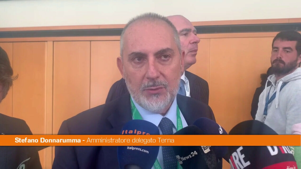 Donnarumma “L’alternativa al gas russo sono le rinnovabili” Donnarumma “L’alternativa al gas russo sono le rinnovabili”