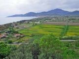 Il Cilento premiato a Bruxelles per la biodiversità