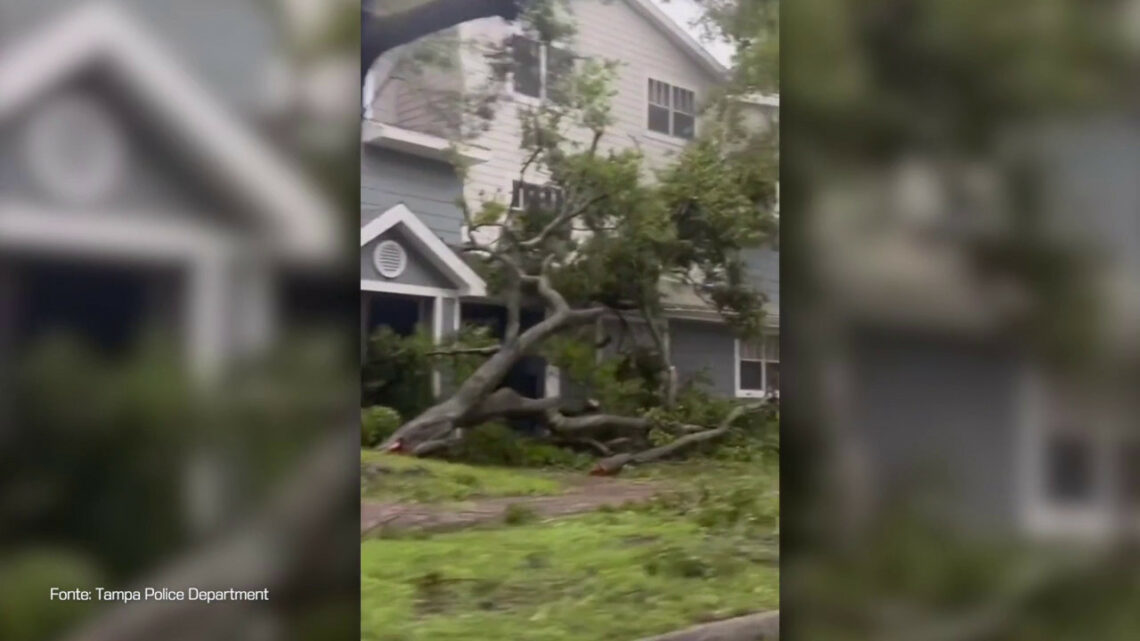 Uragano in Florida, un semaforo vola via spinto dal vento Uragano in Florida, un semaforo vola via spinto dal vento
