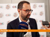Patuanelli “Dialogo col Pd? Vedremo cosa metterà in campo”