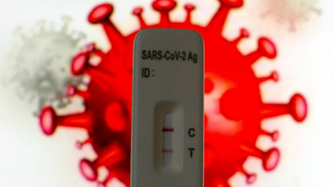 Covid, 33.876 nuovi casi positivi e 38 decessi Covid, 33.876 nuovi casi positivi e 38 decessi