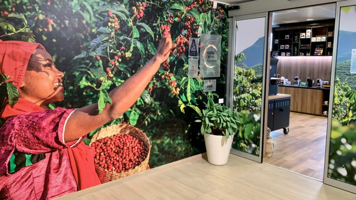 Coltivazione di caffè più green, Nestlè lancia il Nescafè Plan 2030 Coltivazione di caffè più green, Nestlè lancia il Nescafè Plan 2030