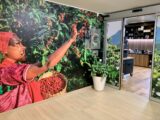 Coltivazione di caffè più green, Nestlè lancia il Nescafè Plan 2030