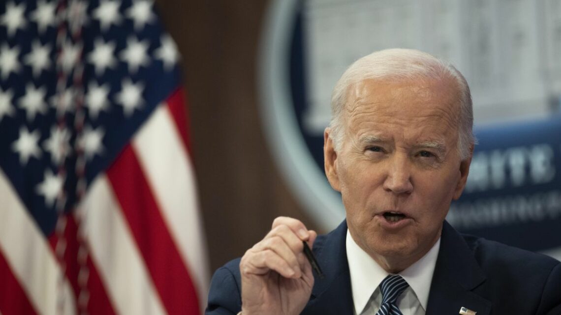 Ucraina, Biden “Putin ha sbagliato i calcoli ma è un attore razionale” Ucraina, Biden “Putin ha sbagliato i calcoli ma è un attore razionale”