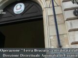Blitz antimafia contro clan Catanese: droga, pizzo e voto di scambio