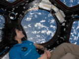 Astro Samantha è tornata sulla Terra