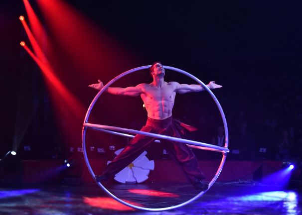 ALIS – Lo Show delle meraviglie ALIS – Lo Show delle meraviglie