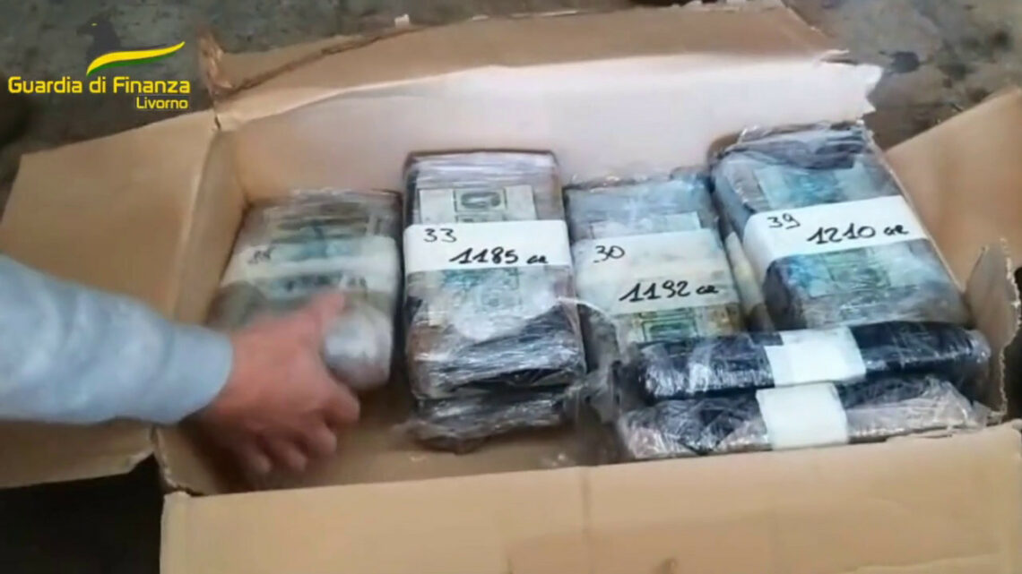 A Livorno maxi sequestro di cocaina proveniente dal Sud America A Livorno maxi sequestro di cocaina proveniente dal Sud America