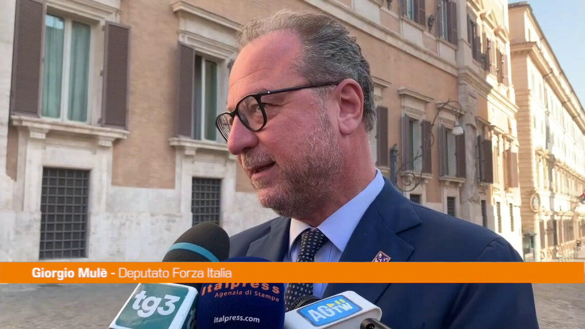 Governo, Mulè “Forza Italia solleva tema politico, non di poltrone” Governo, Mulè “Forza Italia solleva tema politico, non di poltrone”