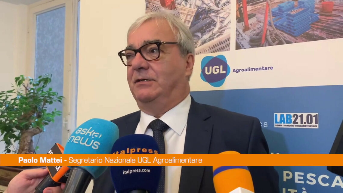 Pesca, Mattei “Settore fondamentale per la vita economica e sociale” Pesca, Mattei “Settore fondamentale per la vita economica e sociale”