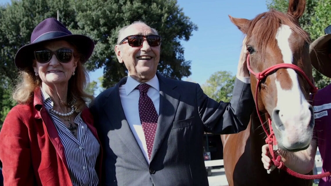 Il viaggio del cavallo Persano per la salute mentale arriva a Roma Il viaggio del cavallo Persano per la salute mentale arriva a Roma