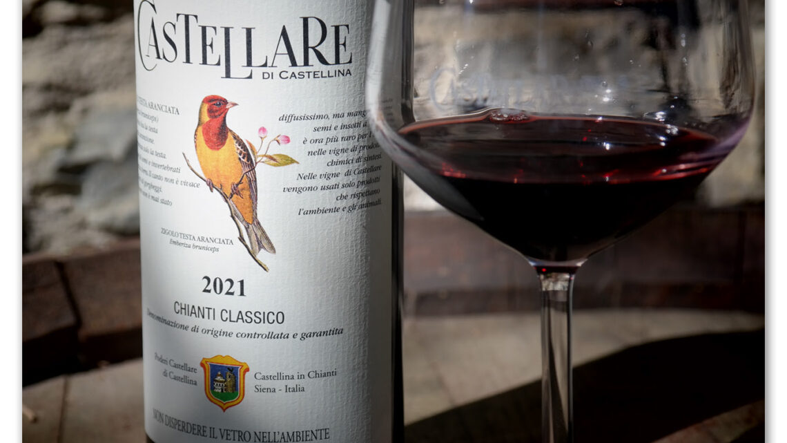 Arriva Zigolo Testa Aranciata, l’uccellino della nuova annata del Chianti Classico di Castellare Arriva Zigolo Testa Aranciata, l’uccellino della nuova annata del Chianti Classico di Castellare