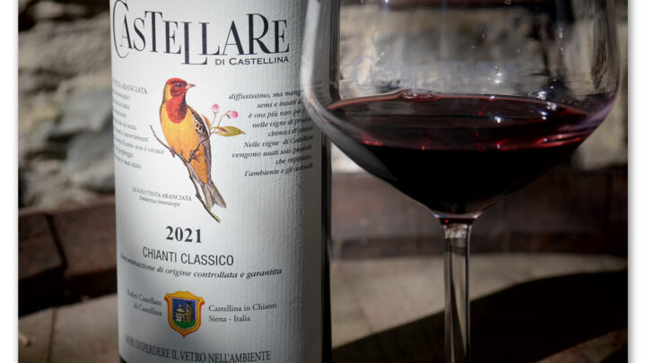 Arriva Zigolo Testa Aranciata, l’uccellino della nuova annata del Chianti Classico di Castellare