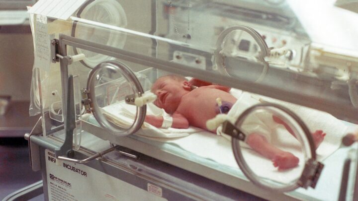 Giornata mondiale della prematurità, giovedì la festa del Policlinico Umberto I