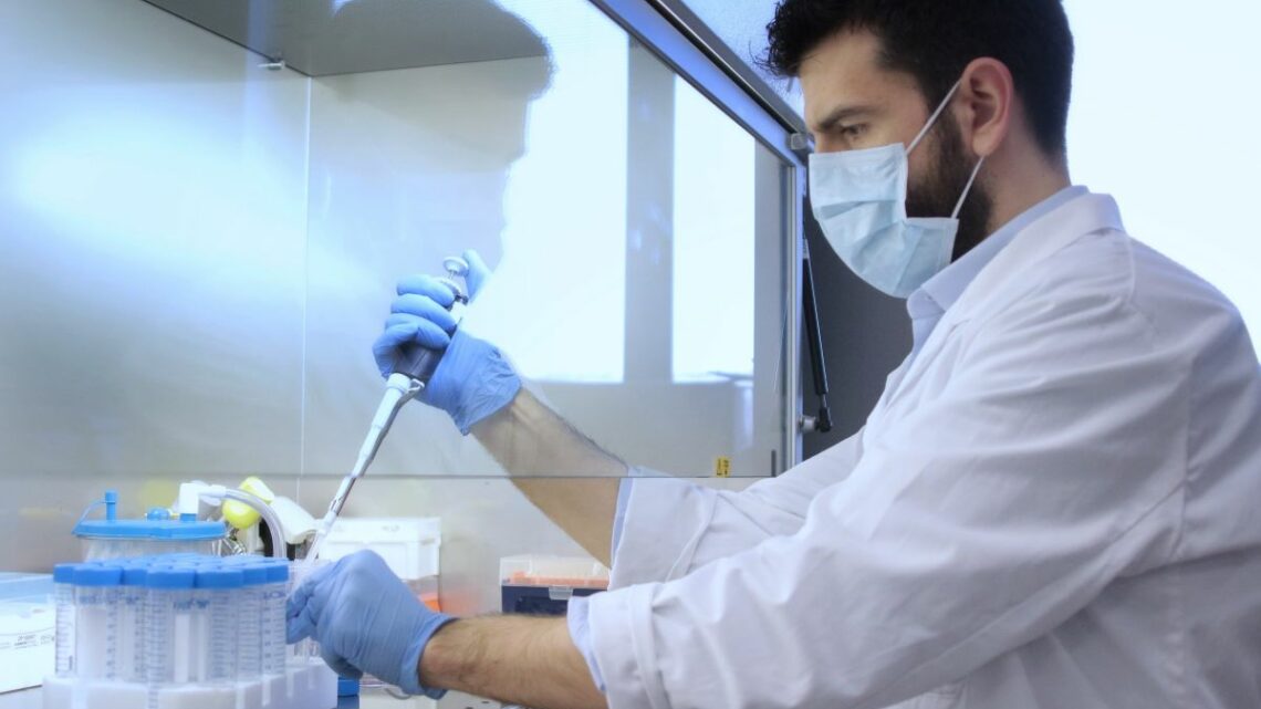 Tumore al pancreas, ricerca e terapie mirate per combattere la malattia