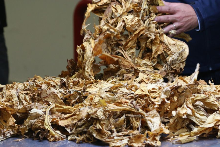 Philip Morris, nuovi investimenti a Marcianise e Bastia Umbra Philip Morris, nuovi investimenti a Marcianise e Bastia Umbra