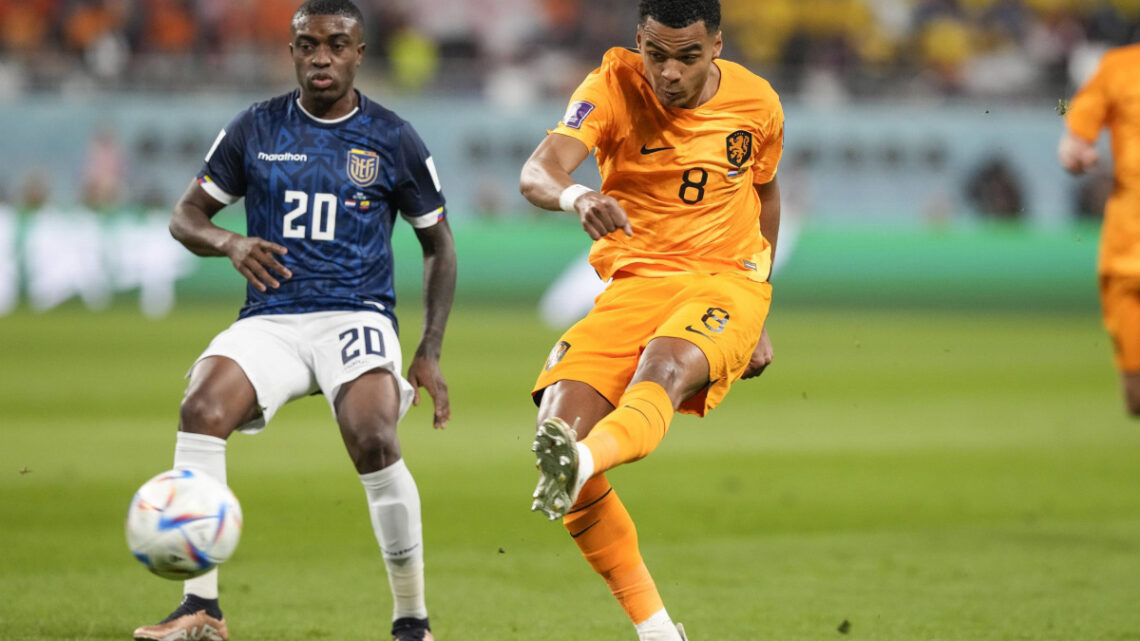 Gakpo e Valencia, Olanda-Ecuador 1-1 e Qatar eliminato Gakpo e Valencia, Olanda-Ecuador 1-1 e Qatar eliminato