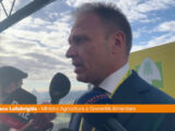 Manovra, Lollobrigida “Dall’Ue mi aspetto un giudizio rispettoso”