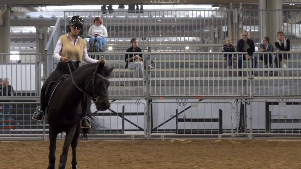 Equitazione, Di Paola “Obiettivo salto ostacoli a Parigi 2024” Equitazione, Di Paola “Obiettivo salto ostacoli a Parigi 2024”
