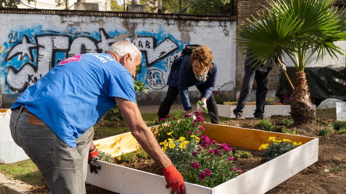 Biodiversità, a Roma Findus e Retake creano un’oasi fiorita nel quartiere Appio Latino Biodiversità, a Roma Findus e Retake creano un’oasi fiorita nel quartiere Appio Latino