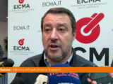 Salvini “Il Ponte sullo Stretto si farà e sarà un’opera green”