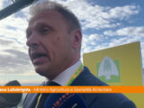 Lollobrigida “Sul cibo sintetico servono ricerche e verifiche”